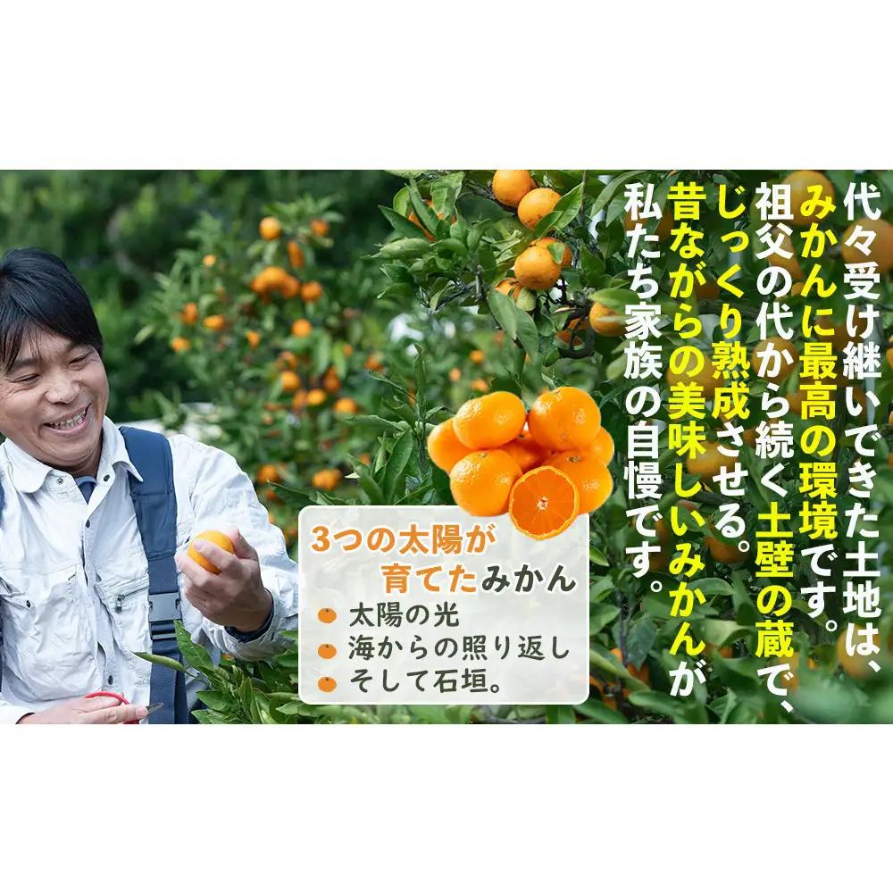蔵出しみかん 3kg 鈴木農園が厳選したプレミアム 冬みかん 少量で1月・2月の贈答用におすすめ