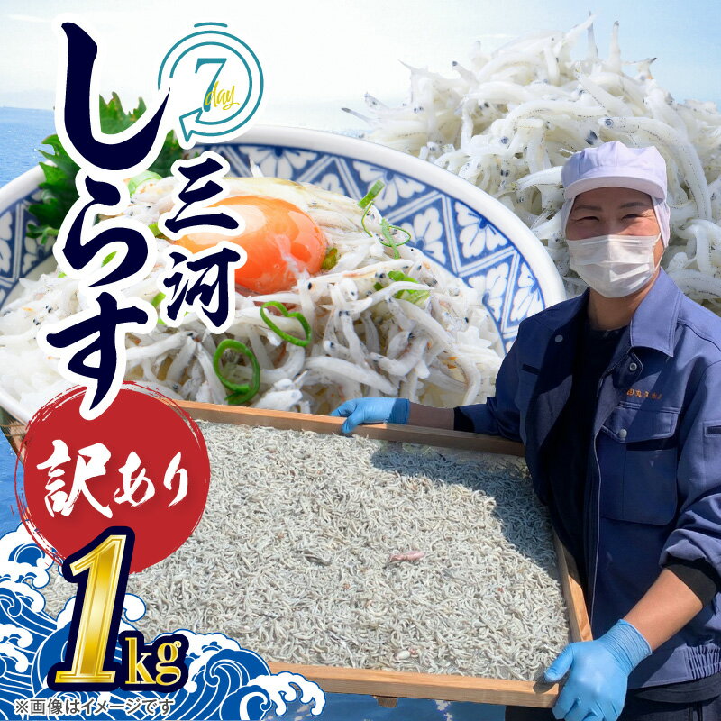 【ふるさと納税】訳あり しらす干し 国産 1kg 箱入 三河しらす 塩分控えめ しらす のし対応可 ご飯のお供 おつまみ しらす丼 サラダ 海産物 冷凍 お取り寄せ 食品 愛知県 碧南市 送料無料