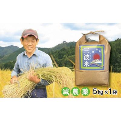ふるさと納税 朝来市 【毎月定期便】栽培期間中農薬を減らしお作りした 三波農地を守る会のコシヒカリ(5kg)白米・全3回