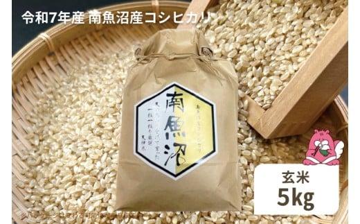 令和7年産 5kg〈玄米〉越後湯沢産 南魚沼産 コシヒカリ 豪雪を源とする水の恵み【湯沢産 コシヒカリ】