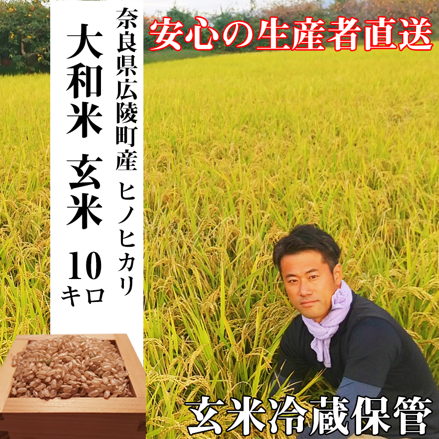 【新米先行受付】【令和6年度産】【10月下旬より順次発送予定】色彩選別加工済大和米 奈良県広陵町ヒノヒカリ玄米10kg／玄米