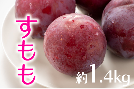 AB136.九州・福岡フルーツ王国より直送.すもも.約1.4kg／2026年6月配送