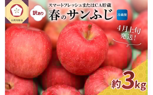 【2026年4月上旬発送】【訳あり】サンふじ 約3kg【スマートフレッシュ貯蔵またはCA貯蔵・クール便】