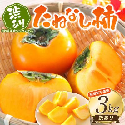 ふるさと納税 かつらぎ町 【先行予約】【訳あり】渋あり たねなし柿 約3kg 和歌山の柿農園「渋柿隊」