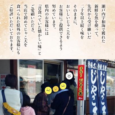 ふるさと納税 西予市 小魚じゃこ天 20枚セット |  | 02