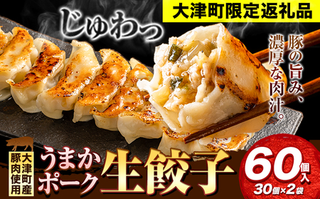 餃子 うまかポーク生餃子 60個 タレ付き 大津町限定返礼品 冷凍餃子 ギョウザ《30日以内に出荷予定(土日祝除く)》大津町産豚肉使用 九州産キャベツ使用（大津町産含む）皮モチモチ 肉汁溢れる ぎょうざ （30個×2袋） 