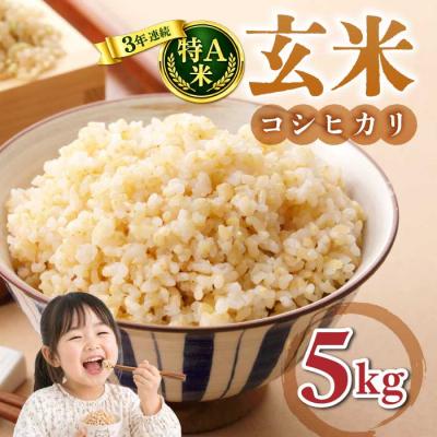 ふるさと納税 東御市 玄米5kg 【冷めても美味しいコシヒカリ】|最短4〜7日程度でお届け　※着日指定不可【小田農園】