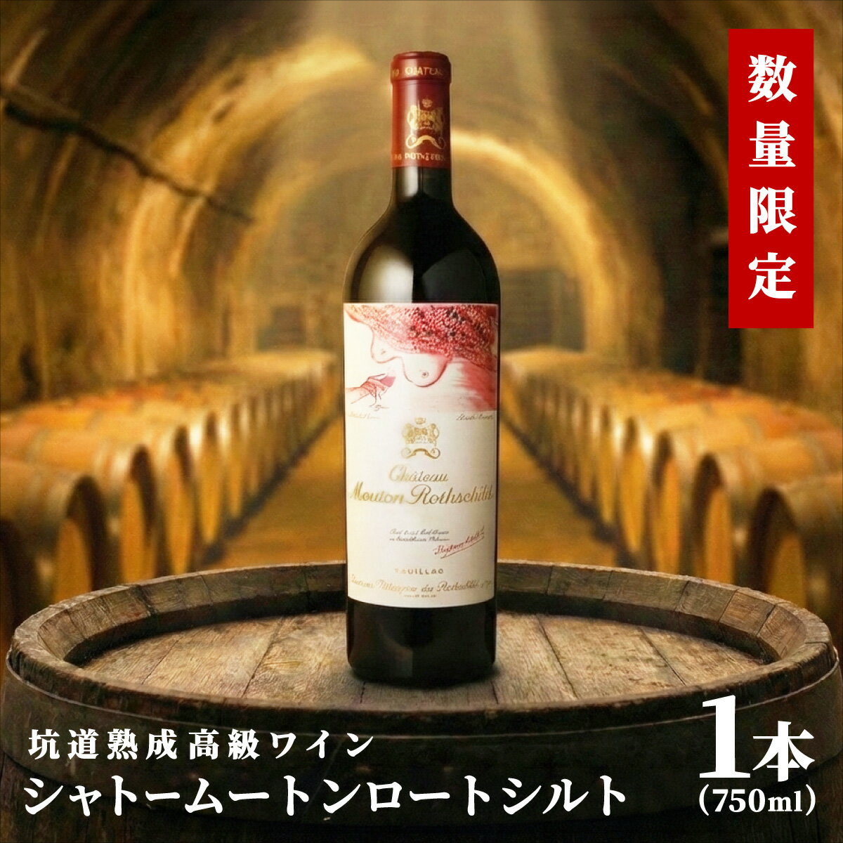 【ふるさと納税】坑道熟成高級ワイン（シャトームートンロートシルト）1本×750ml | 赤ワイン フランス産 カルベネ・ソーヴィニヨン 熟成高級ワイン 五大シャトー 佐賀県 大町