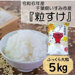 【令和6年産米】　ふっくら大粒　千葉県いすみ市産粒すけ　精米5kg【1546628】