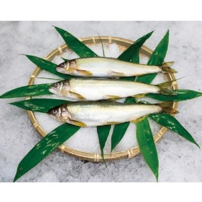 ふるさと納税 徳島市 美味追求 すだち鮎(冷凍鮎 約12尾)・一夜干し(冷凍 5枚)セット【AT002】 |  | 01