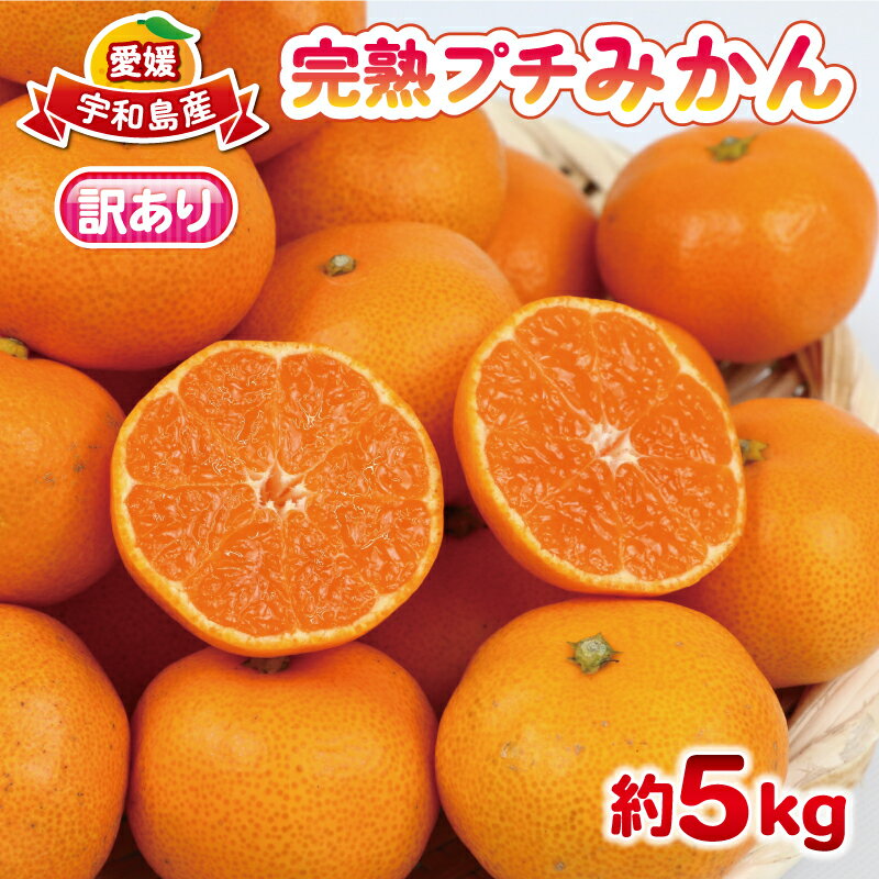 【ふるさと納税】 みかん 訳あり 完熟 プチ みかん 早生みかん 5kg 杉本屋 完熟みかん mikan わけあり 小玉みかん 小みかん 愛媛みかん 愛媛蜜柑 温州 早生温州 温州みかん 果物 くだもの フルーツ 柑橘 みかん 蜜柑 産地直送 数量限定 国産 愛媛 宇和島 B010-143003