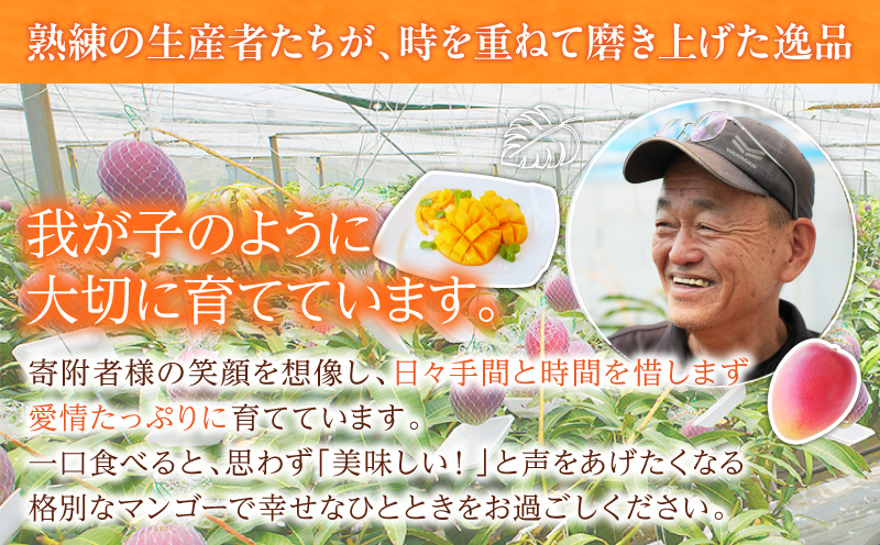 リピーター続出!!数量限定 宮崎県産 完熟 マンゴー 2L以上×4玉 フルーツ 果物 果汁 希少 濃厚 ジューシー 贅沢 上質 ご褒美 人気 国産 食品 おやつ デザート 産地直送 おすすめ ギフト 