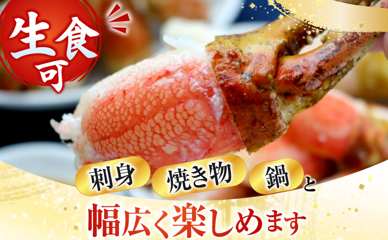 生食用本ズワイガニ爪ポーション500g A-14237