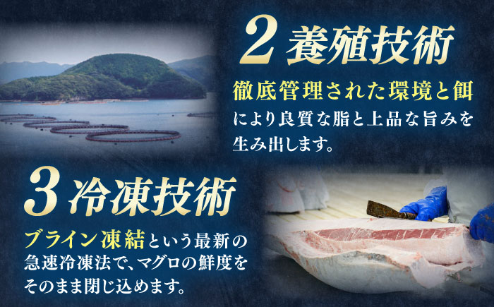 【全3回定期便】対馬産 本マグロ 赤身100g ≪対馬市≫【桐谷商店】 トロの華 対馬 新鮮 マグロ 赤身 鮪 刺身 [WAQ108]