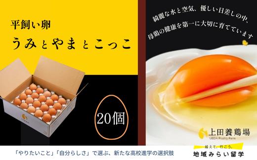 
            【上田養鶏場】平飼い卵「うみとやまとこっこ」20個
          
