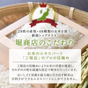 無洗米 新潟県産コシヒカリ 5kg 無洗米 産地直送