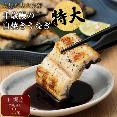 ふるさと納税 大崎町 鹿児島県大隅産 千歳鰻の★特大★白焼鰻　2尾【数量限定】