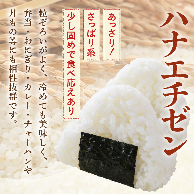 【令和8年産】【一等米】ハナエチゼン 精米 5kg ×1袋《発送直前精米！》 ／ 福井県産 ブランド米 ご飯 白米 お米 コメ 新鮮 大賞 受賞 新米 [aw012-a034]
