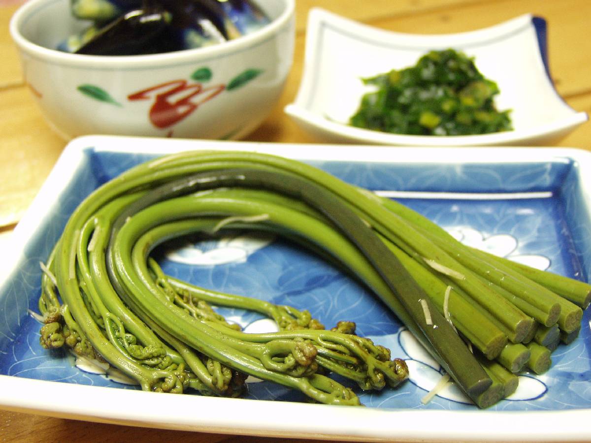 【通常配送】採れたて山菜　あく抜きわらび　200ｇ×4束