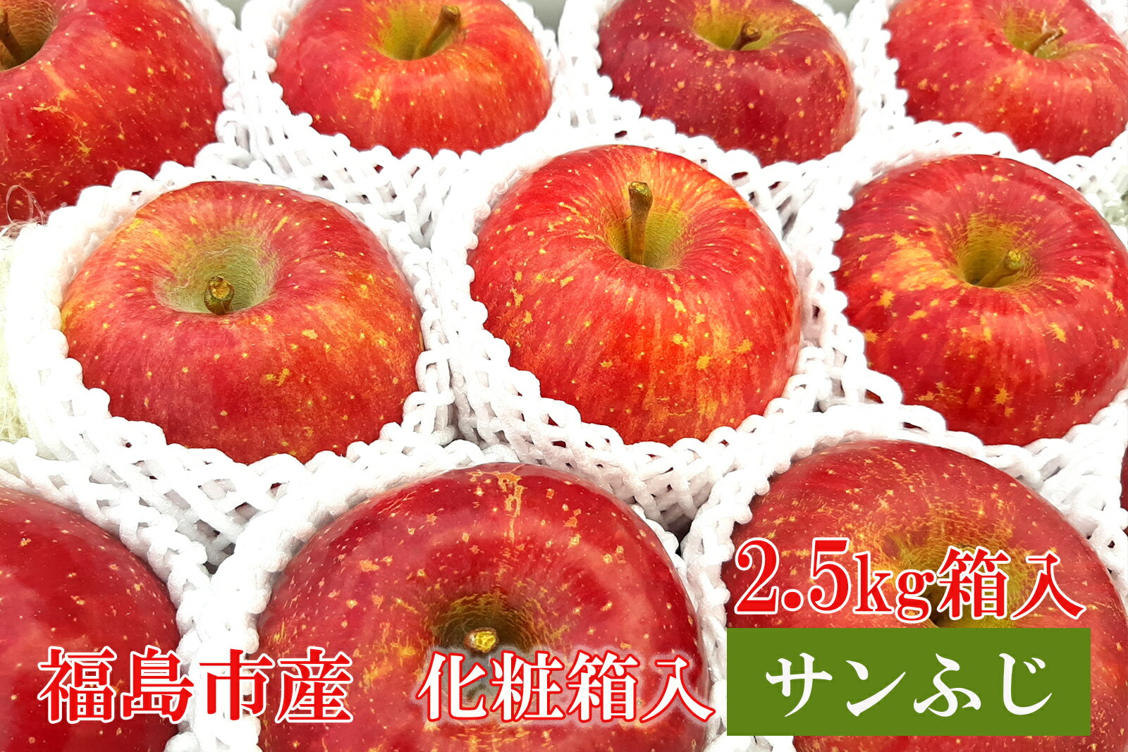 【ふるさと納税】No.1357 りんご「サンふじ」約2.5kg箱入【2025年度発送】