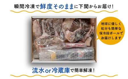 天然 クエ 鍋 セット 600g 冷凍 クエ くえ 美味しいクエ 鍋用クエ EY006