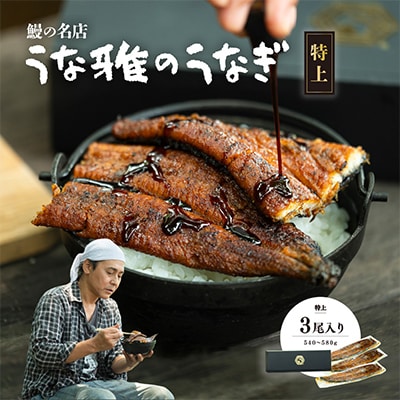 ヒロシのおすすめ!鰻の名店『うな雅』国産 手焼き 鰻【特上】かば焼き 3尾 540g〜580g【配送不可地域：離島】【1600557】