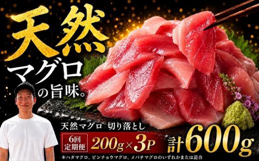 【6回定期便】天然マグロ切り落とし 200g×3P│天然マグロ 切り落とし 刺身 マグロ丼 冷凍 高知県 ふるさと納税 キハダマグロ ビンチョウマグロ メバチマグロ 海鮮 お取り寄せ グルメ 時短 簡単調理 解凍するだけ 一口サイズ 手巻き寿司 具材 ユッケ カルパッチョ 漬け丼 おかず おつまみ ギフト 贈答 贅沢 人気 おすすめ 産地直送 新鮮  晩酌 魚介