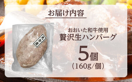 厳選「おおいた和牛」100%使用贅沢な生ハンバーグ(160g×5個) 日田市 おおいた和牛 牛肉 ハンバーグ [ARFE003]
