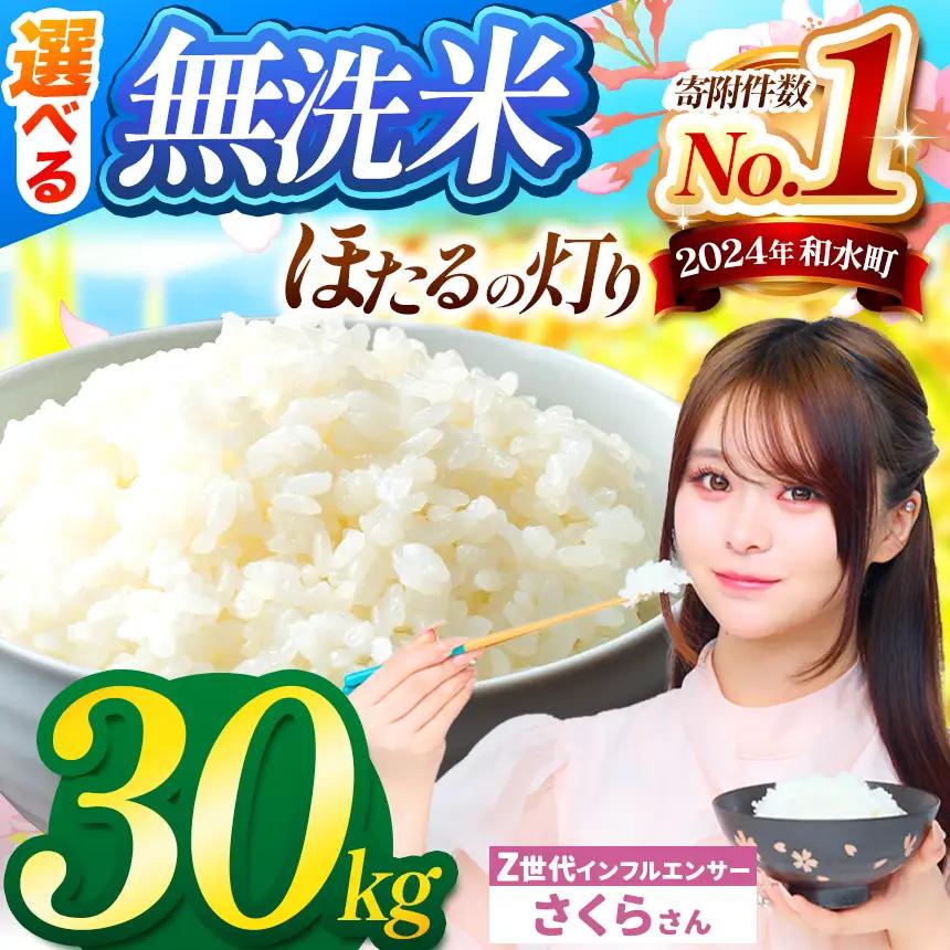 令和7年産 熊本県産 ほたるの灯り 無洗米 30kg  | 選べる 銘柄 ほたるの灯り 森のくまさん 容量 5kg 10kg 15kg 20kg 25kg 30kg 特A 小分け 訳あり 規格外 