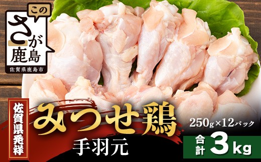 
            【配送月指定対応可】みつせどり 手羽元 250g×12（合計3kg）D-266 お肉 鶏 肉 からあげ 唐揚げ から揚げ 佐賀県産 鶏肉 煮物
          