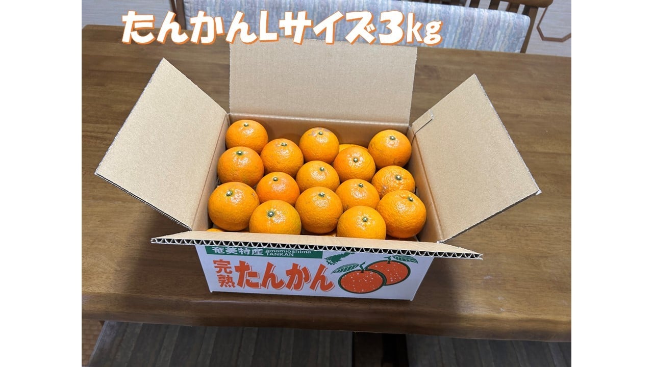 たんかん　Lサイズ　３㎏