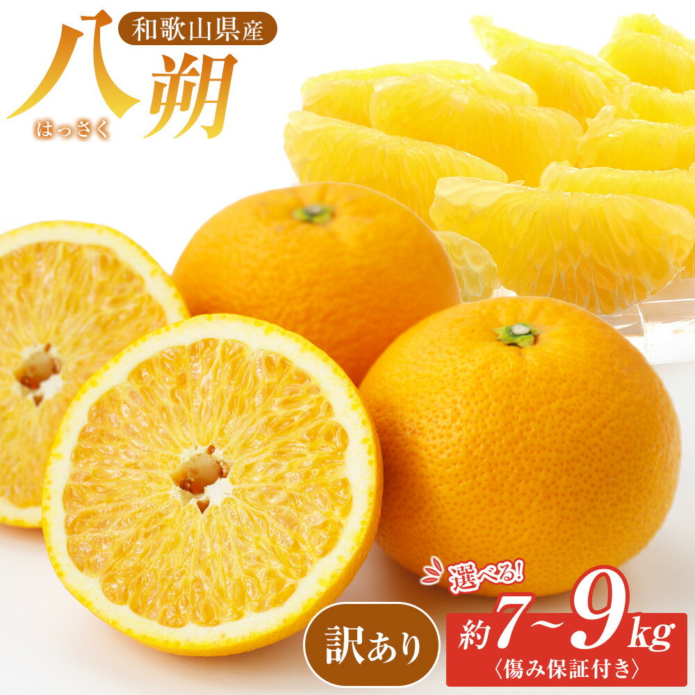 【ふるさと納税】［選べる容量］訳あり八朔 約 8kg or 約10kg（箱込み） 和歌山県産 | 和歌山市 柑橘 果物 八朔 旬の味 訳あり フルーツ 人気 おすすめ 柑橘類 みかん 果物 さっぱり 甘酸っぱい お取り寄せ 送料無料 ふるさと納税