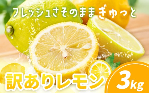 訳あり レモン 3kg《10月上旬-12月下旬頃出荷》熊本県 津奈木町 青果物 レモン れもん 果物 フルーツ 国産 家庭用