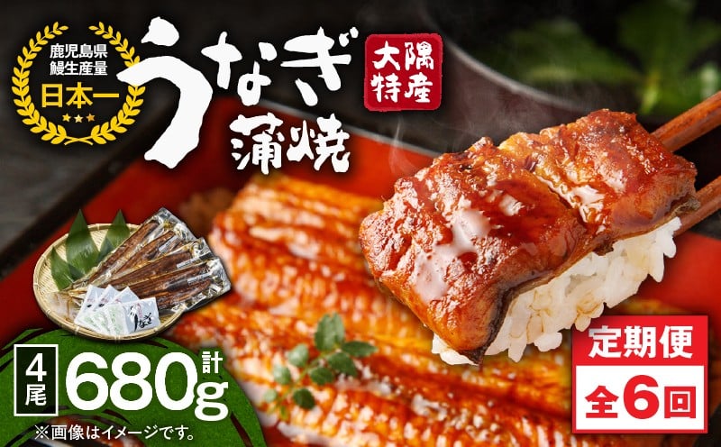 
            2486 【定期6回】大隅特産うなぎ蒲焼4尾（680g）【国産】　KN060-T10
          