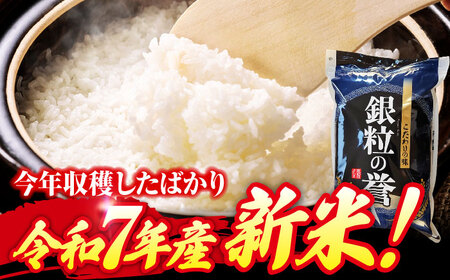 【全6回定期便】 【令和7年産米】 米 こしひかり 10kg 白米 お米 ご飯 コシヒカリ 三次市/アグリ君田[APDC008]