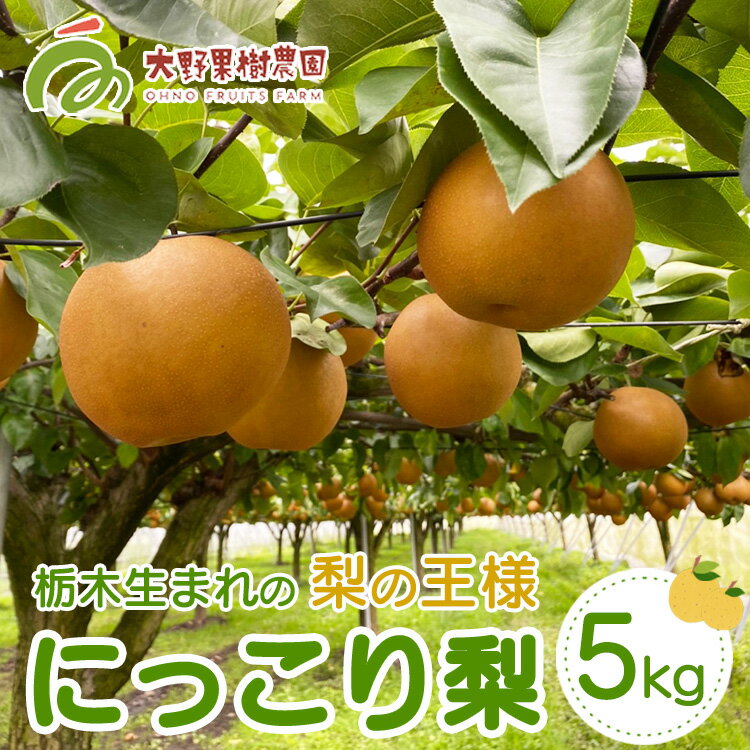 【ふるさと納税】16-2 栃木県那須烏山市産大野果樹農園のにっこり梨 | 先行予約 なし 梨 にっこり 果物 くだもの フルーツ ナシ 栃木県 ※2026年10月上旬頃～発送