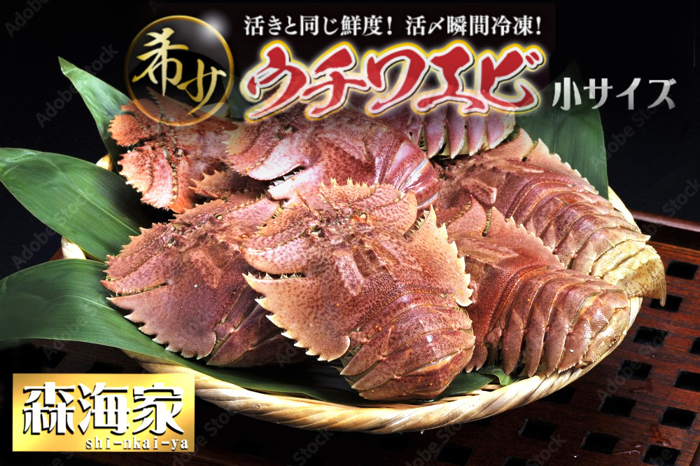 
            【ふるさと納税】ウチワエビ(小) 天然ほんまもん！ 500g(6~7匹前後) 国産 東洋町産 天然 新鮮 海鮮 刺身 焼き ボイル 四国 お取り寄せ お祝い 記念日 贈り物 送料無料 S243
          