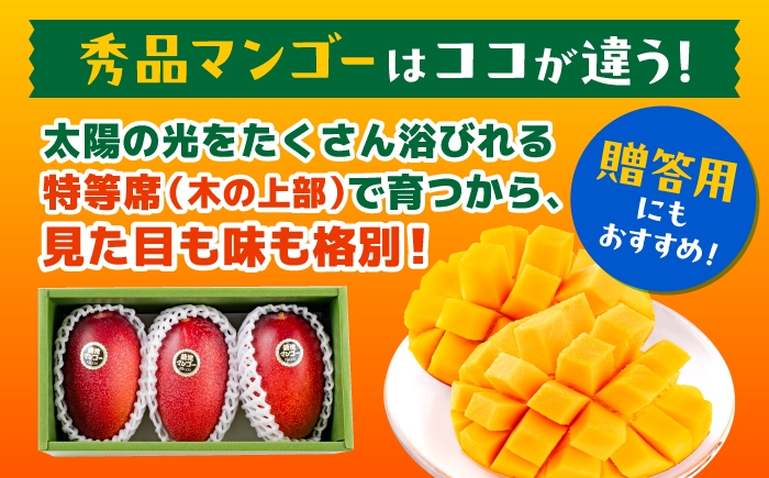完熟マンゴー 秀品 菊池マンゴー約1kg（2〜3玉） L〜3Lサイズ 友枝マンゴー農園