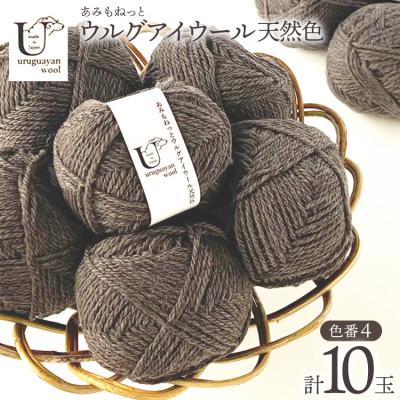 ふるさと納税 江南市 あみもねっと ウルグアイウール天然色 4番色 10玉セット