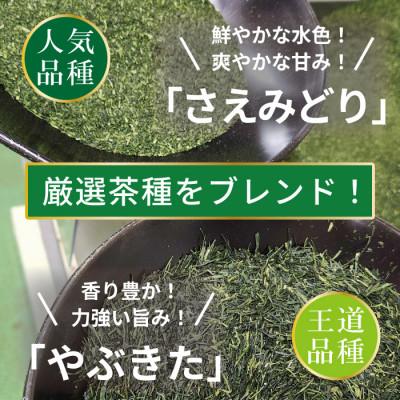 ふるさと納税 日向市 特撰みやざき煎茶ティーバッグ(紐付き)5袋 |  | 02
