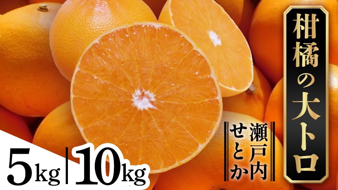 
            せとか 【 選べる内容量 5kg / 10kg 】 柑橘 フルーツ 果物 くだもの みかん 国産 瀬戸内 ハウス 贈答用 ギフト 産地直送
          