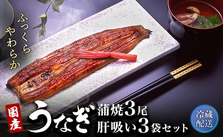 うなぎ 長蒲焼き 3尾 肝吸い セット 冷蔵 うなぎ