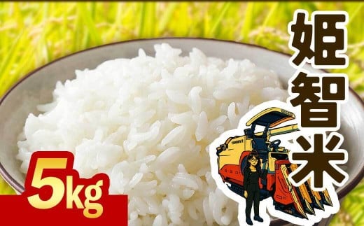 令和７年産 新米 なつほのか 5kg  智子さんの姫智米 精米