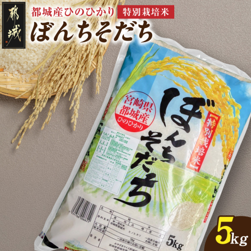 都城産ひのひかり特別栽培米「ぼんちそだち」5kg(5kg×1袋)_12-N5-001-5kg
