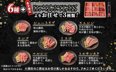 宮崎牛焼肉食べ比べ9種盛_32-3101_(都城市) 都城産 宮崎牛 A4ランク 焼肉 セット 肩ロース カルビ ザブトン 内モモ サーロイン イチボ 6種類 お任せ にくほんぽ黒たれ 9種