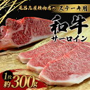 【ふるさと納税】 尾呂志屋精肉店の和牛サーロイン ステーキ用 1枚 約300g 【1か月以内に順次発送】 / 和牛 サーロイン ステーキ ステーキ用 牛肉 牛 精肉