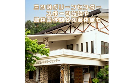 No.368 ログハウス5人棟宿泊券【n0368_grn_A】