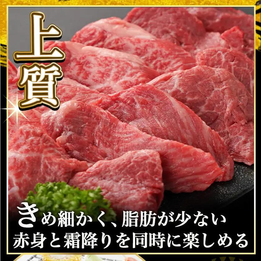 宮崎牛ヒレ焼肉用600g≪みやこんじょ快速便≫〔AF-8902-R〕_(都城市) 宮崎県産宮崎牛 ヒレ焼肉用 焼肉用カット ヒレ肉 冷凍配送