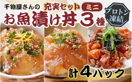 干物屋さんの漬け丼 充実セットミニ【急速冷凍】（プロトン凍結）
