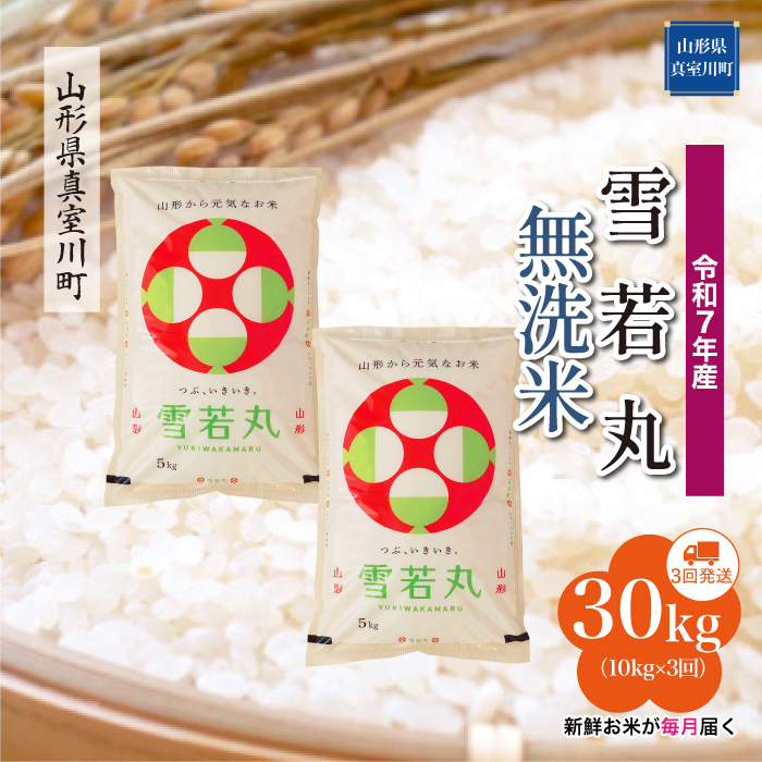 ＜令和7年産米＞ 雪若丸 【無洗米】30kg定期便 (10kg×3回)　配送時期指定できます！ 山形県真室川町